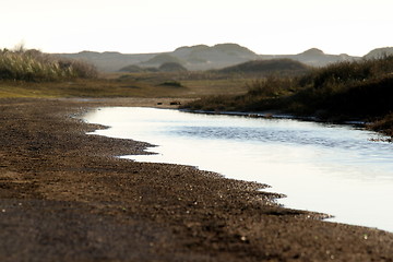 Image showing wetland