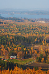 Image showing Autumn view