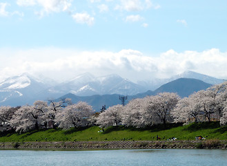 Image showing Japanese spring landscape