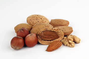 Image showing Composition from nuts.