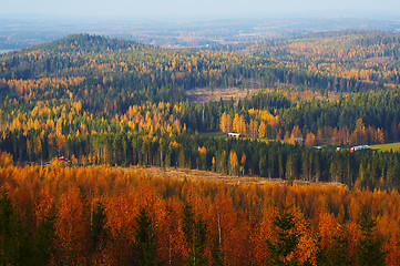 Image showing Autumn landscape