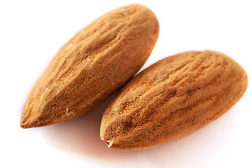 Image showing Almonds