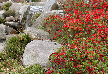 Image showing Japanese garden detail