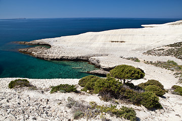 Image showing white chalk cliffs eroded coastline