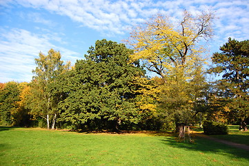 Image showing fall in the park with green trees under blue sky