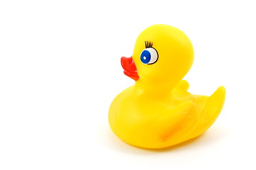 Image showing toy rubber duck 