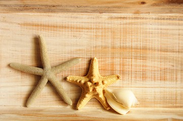 Image showing star fish