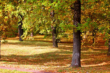 Image showing forest and garden with golden leaves at fall