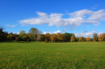 Image showing forest and garden under blue sky at fall