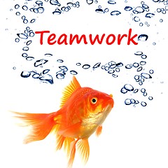 Image showing teamwork