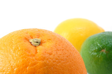 Image showing lemon orange and citron fruit