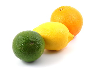 Image showing lemon orange and citron fruit