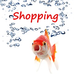 Image showing shopping