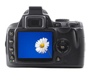 Image showing holiday flower on camera