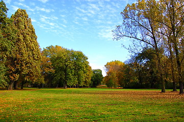 Image showing fall in the park with green trees under blue sky