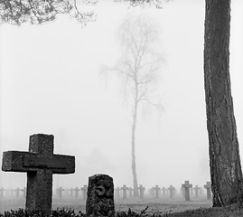 Image showing mist at cemetery
