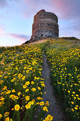 Image showing spring flower field with trail to castle tower