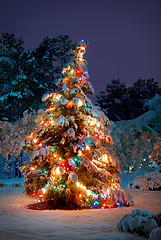 Image showing Christmas tree  