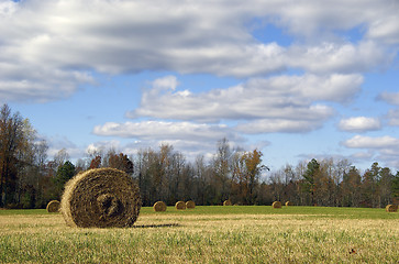 Image showing Filed with hay roll