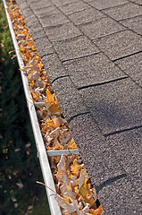 Image showing Leaves in rain gutter.