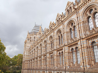 Image showing Natural History Museum, London, UK