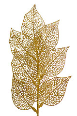 Image showing Christmas leaves decoration