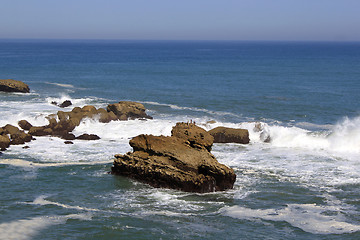 Image showing Wild Coast