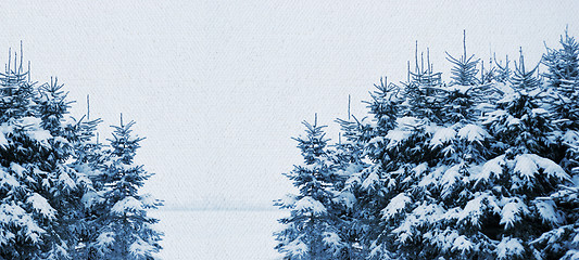 Image showing fir trees on canvas structure
