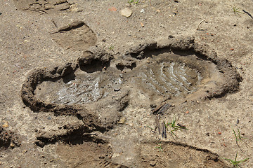 Image showing Shoe print