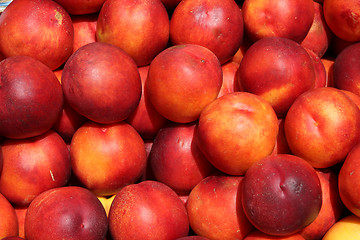 Image showing Nectarines