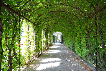 Image showing Schoenbrunn gardens