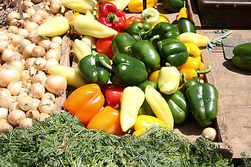 Image showing Vegetable market