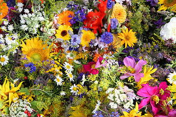 Image showing Flower composition