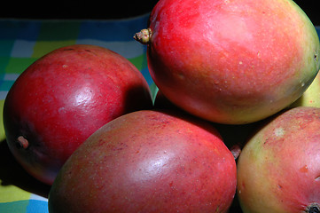 Image showing mangoes