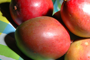 Image showing mangoes