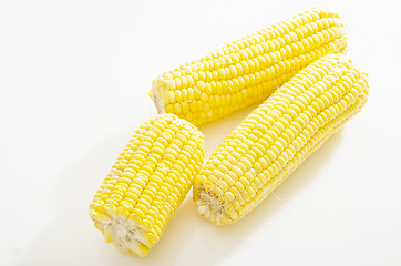 Image showing Corn Cobs