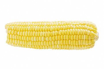 Image showing Corn Cob