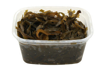 Image showing kelp salad in a plastic pot