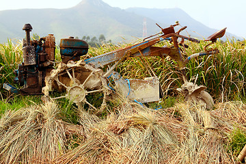 Image showing tractor on rice farm