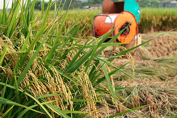 Image showing Vintage rice wood machine 