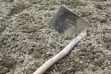 Image showing spade ready to prepare vegetable bed for sowing 