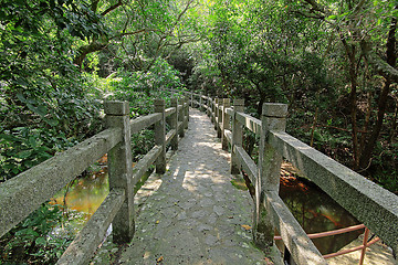 Image showing Bridge in the forest