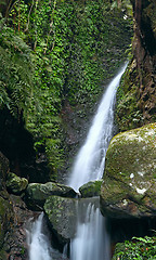 Image showing Deep forest waterfall 