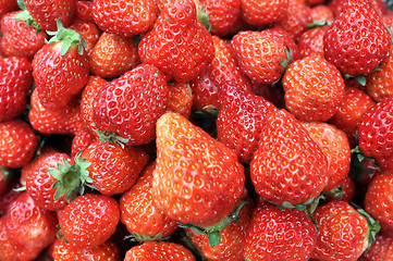 Image showing Strawberry fruits