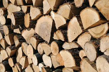 Image showing Closeup Woodpile