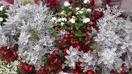 Image showing Christmas decoration of flowers