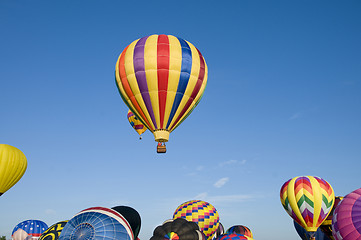 Image showing Hot-air balloons ascending over inflating ones