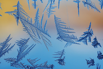 Image showing ice crystals