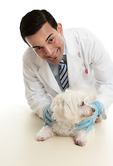 Image showing Veterinarian taking care of a pet dog