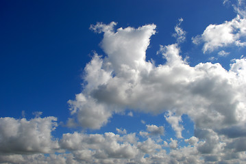 Image showing Summer cumulus 